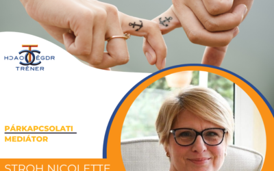 A mediátor szerepe …